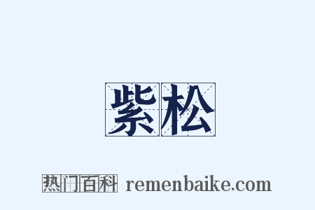 紫松是什么意思的图片